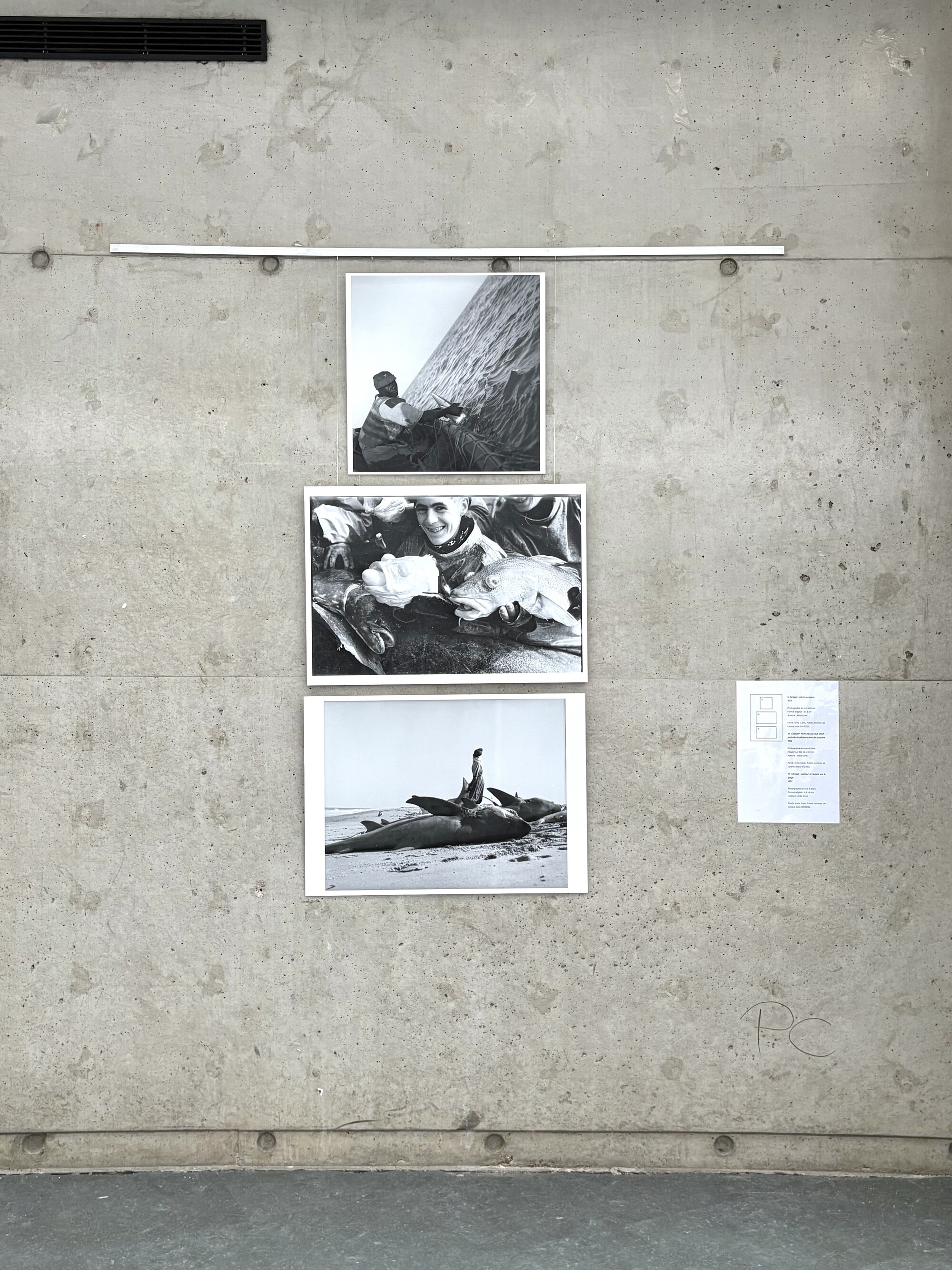 Photographies issues du Fonds Anita Conti, Archives de Lorient.