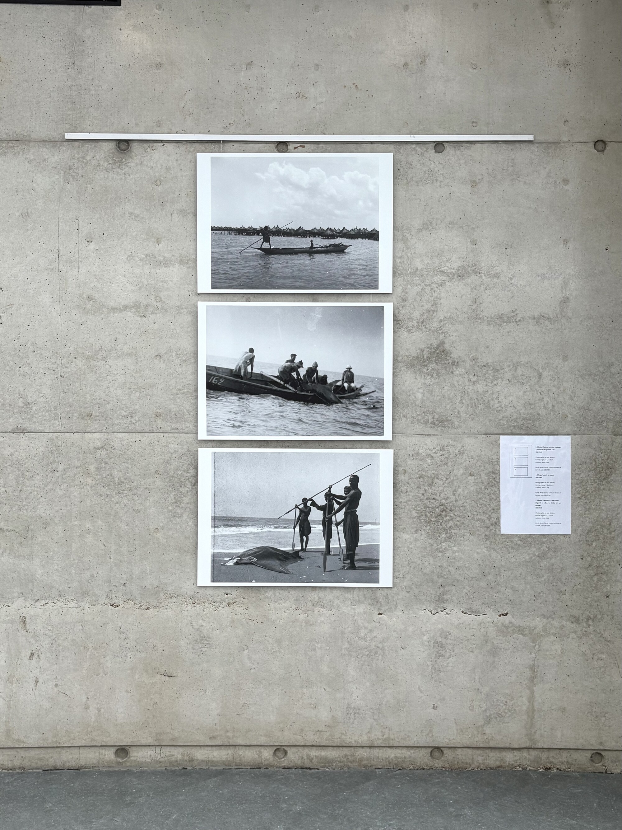 Photographies issues du Fonds Anita Conti, Archives de Lorient.
